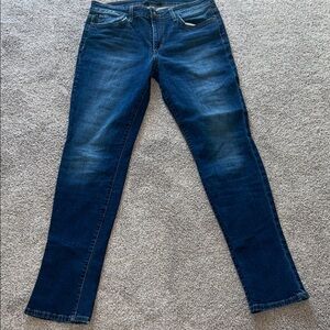 Joes Women's Skinny Jeans